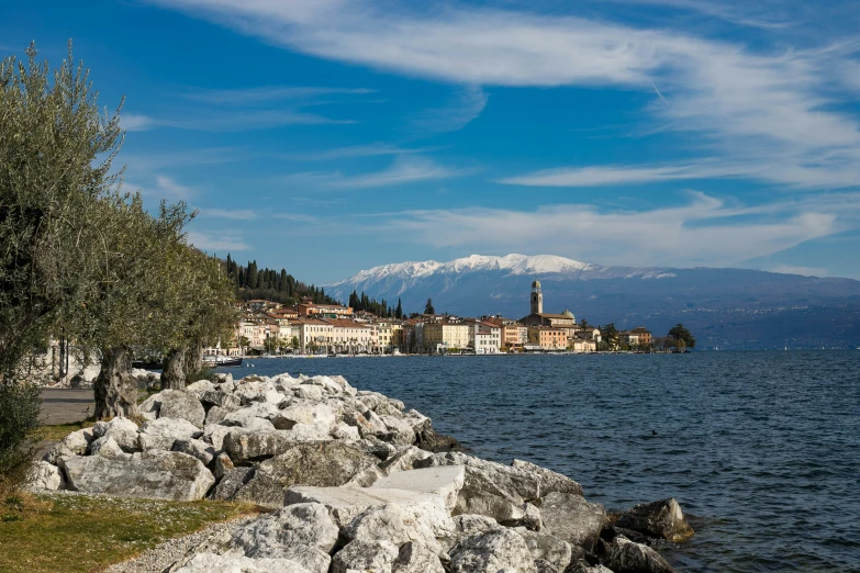 a view of a city and mountains with trees next to it