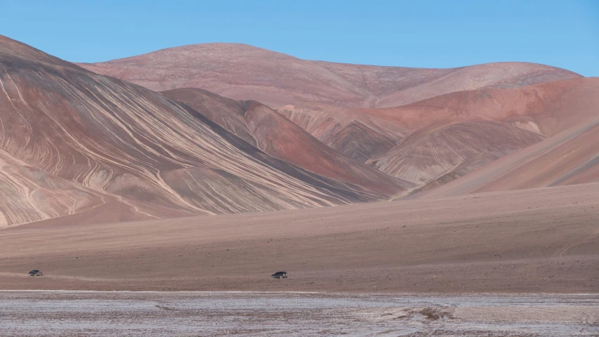 this is an image of three horses grazing in the hills