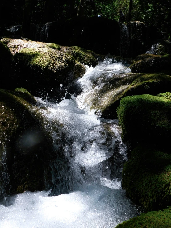 a stream running through lush green trees and rocks