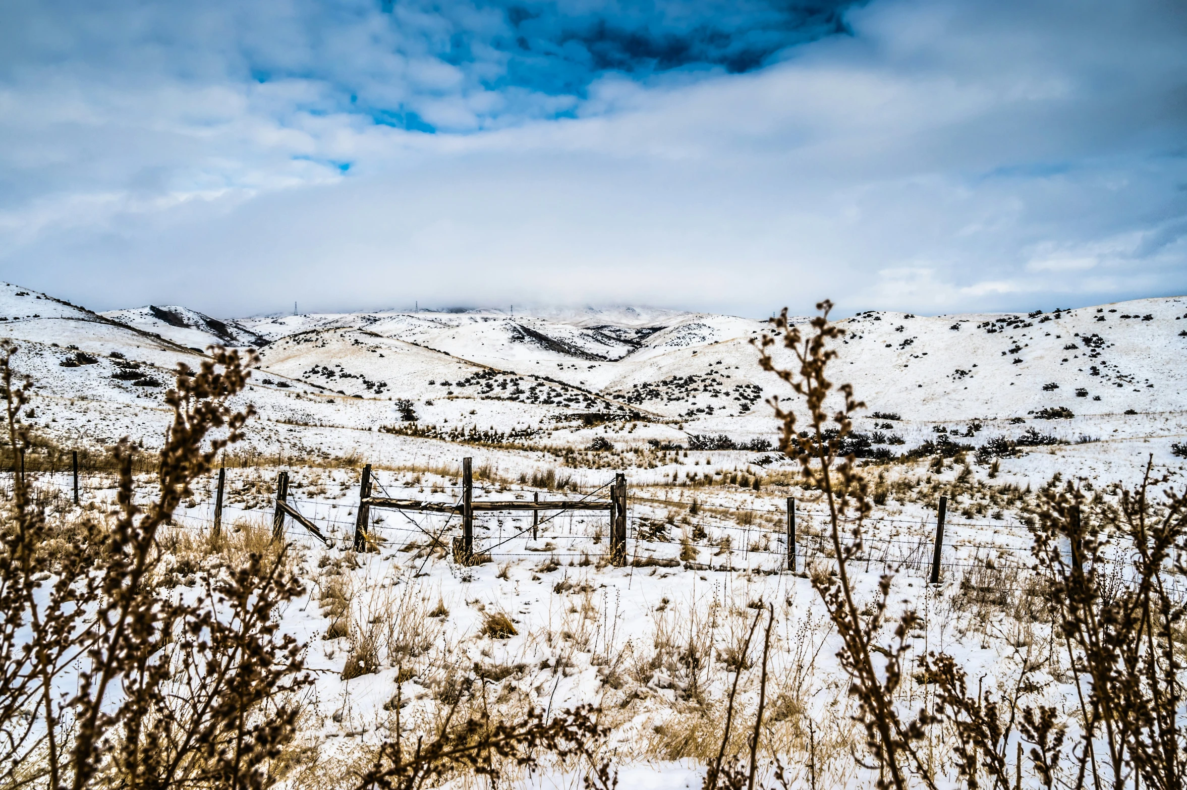 a fence stands out in a snowy landscape