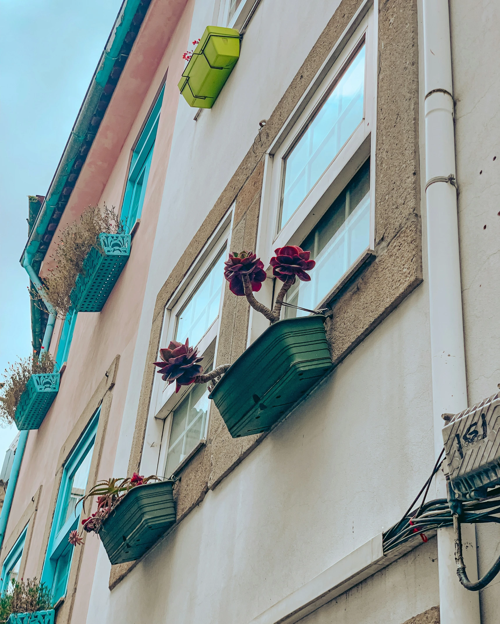 an exterior view of a building with decorative hanging planters