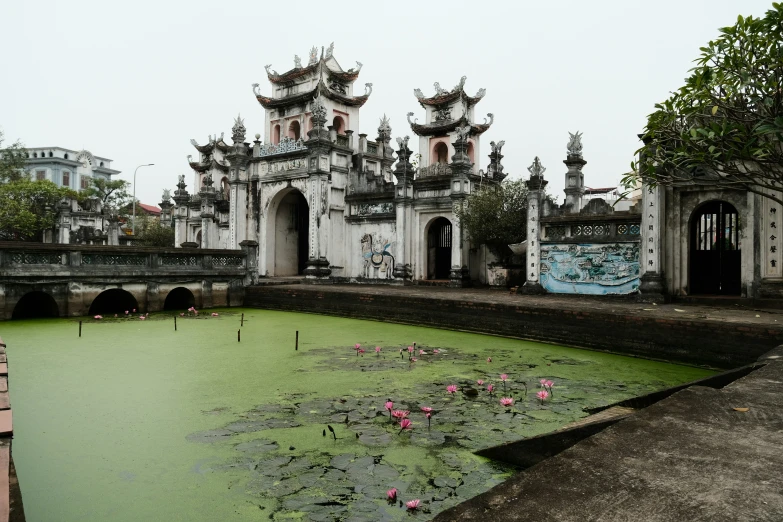 an old building next to a pond with flower