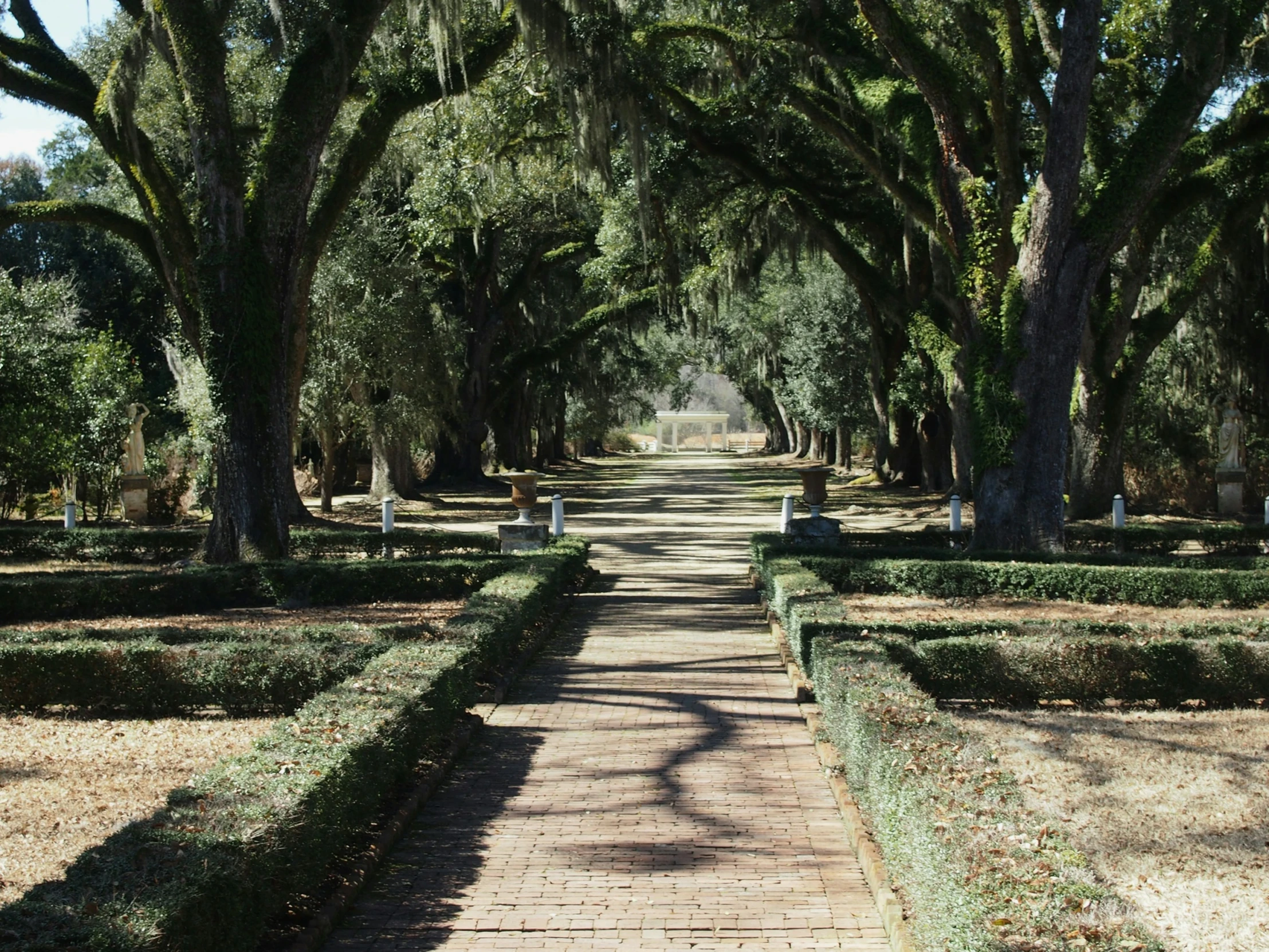 a walkway between hedges and rows covered in trees