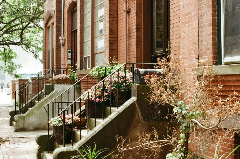 the outside of a building with flowers in the planter