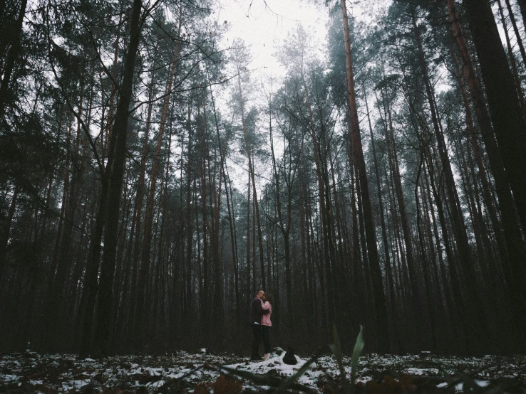 a person stands in front of a forest