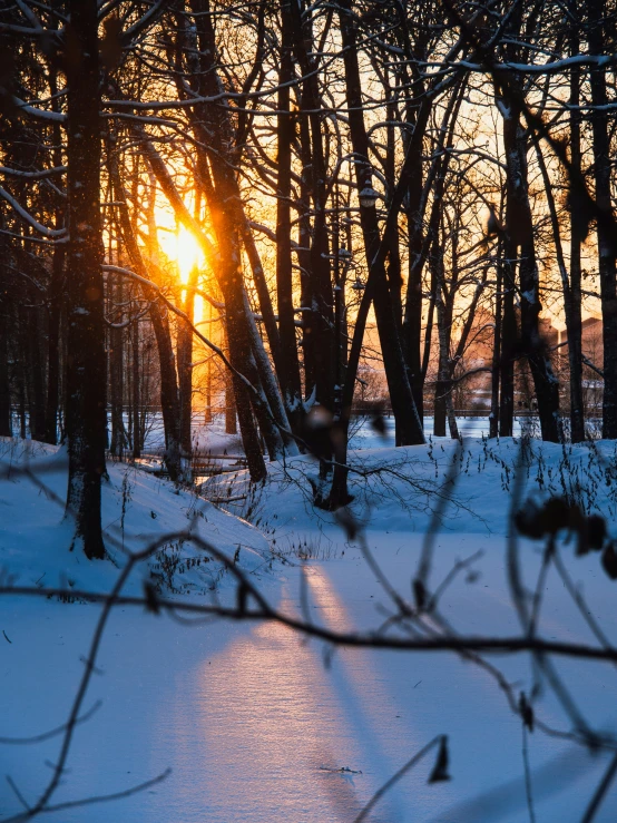 there is a snow covered field with trees