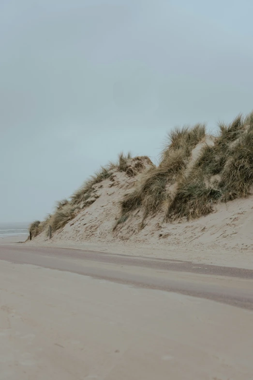 the person is riding a surfboard down the beach