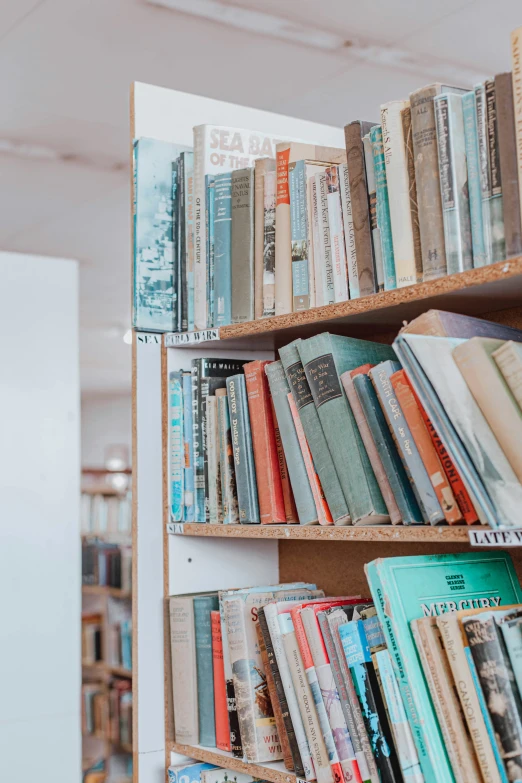 a book shelf with books on it and a window