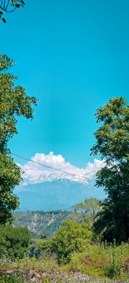 a road going down into the distance of trees and mountains