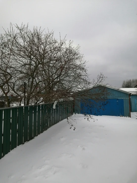 a green fence that is near trees in the snow