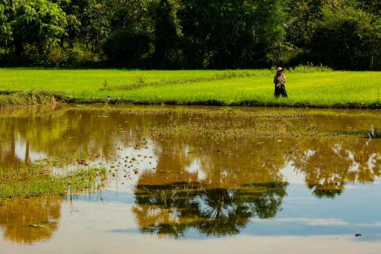 the person is walking across the green grass by the water