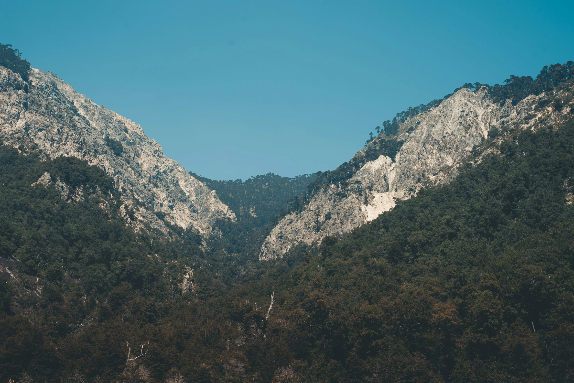 the mountains are covered with some thin clouds