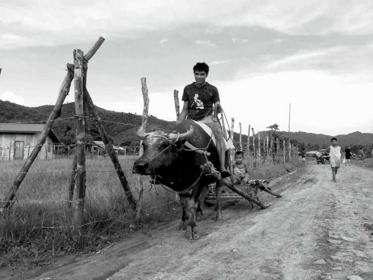 a boy in a polo shirt on a cow by a fence