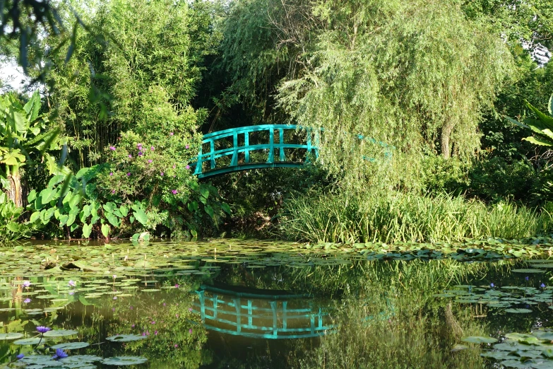 a green bridge across water next to a tree