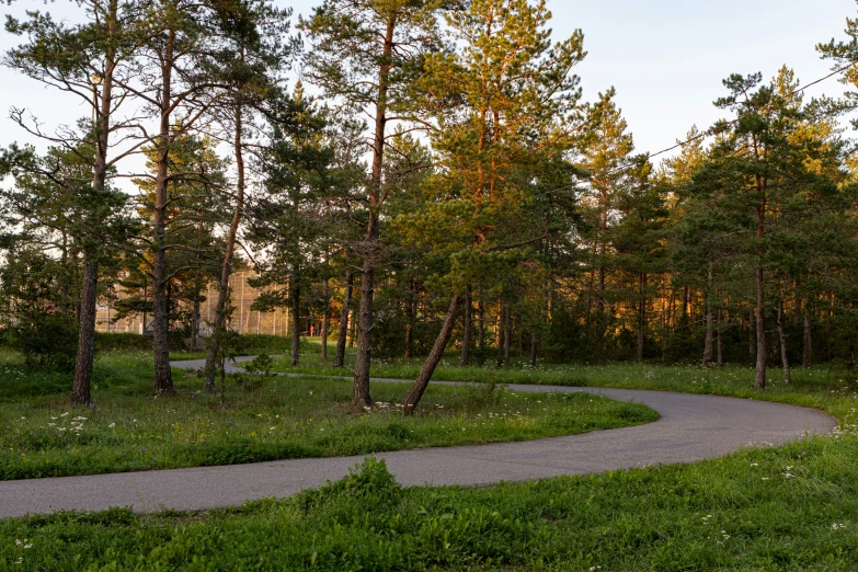 a paved walkway in the middle of the grass near trees