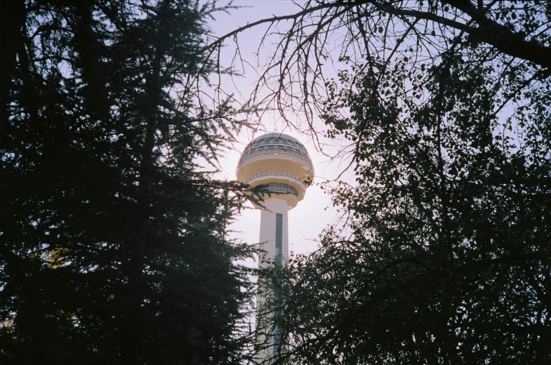 a white tower peeking from the trees into the sky