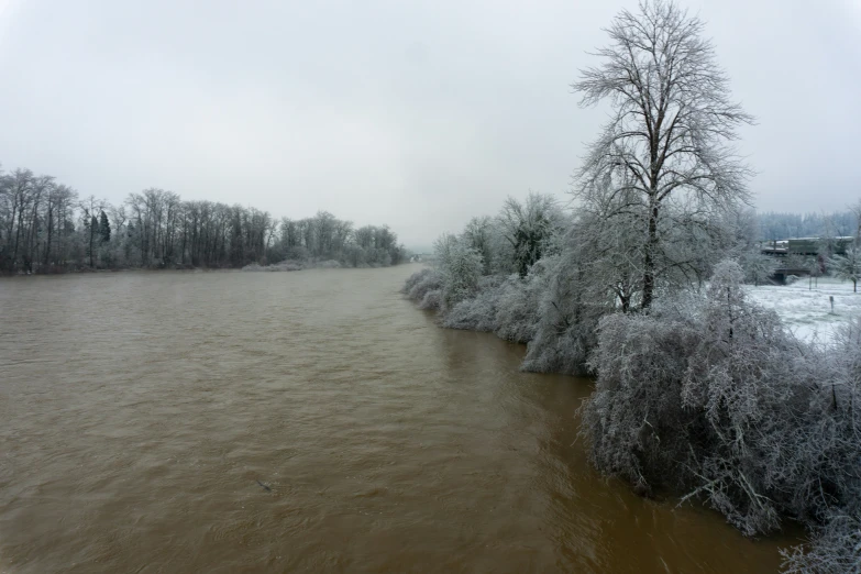 a river filled with brown water and frozen trees