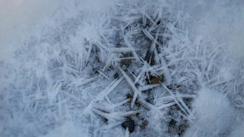 the snow is covered by white and brown frost