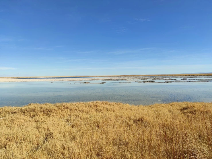 a field that has some water in it