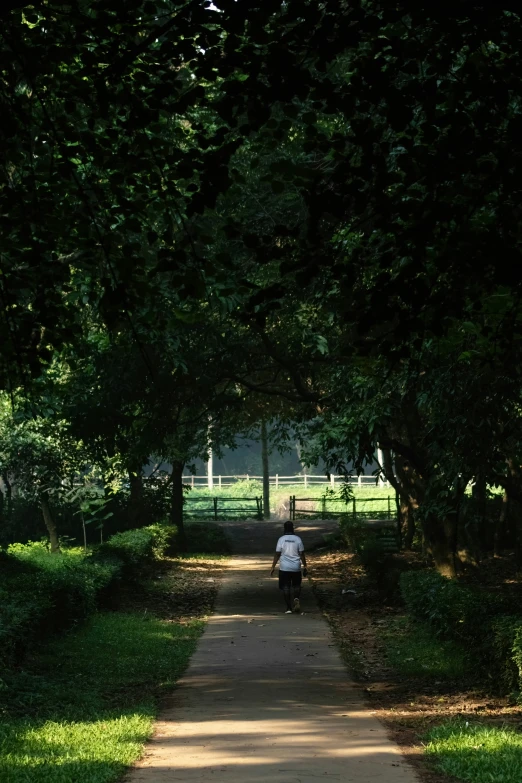 two people riding bicycles down a path in a park