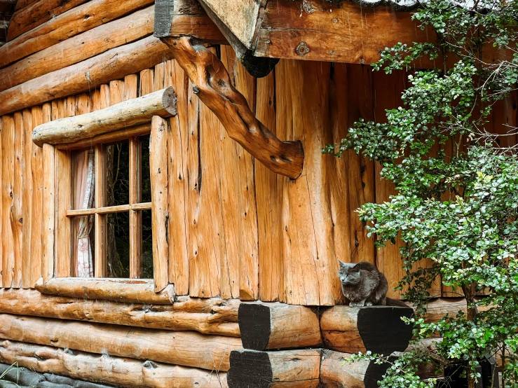 a small cabin with a cat on the window ledge