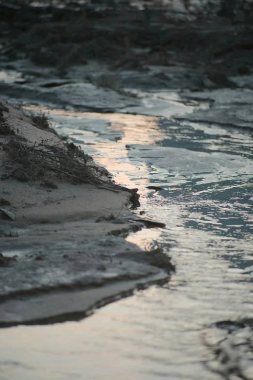 close up of water from a river at night