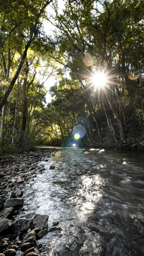 the sun shines brightly as it crosses a stream