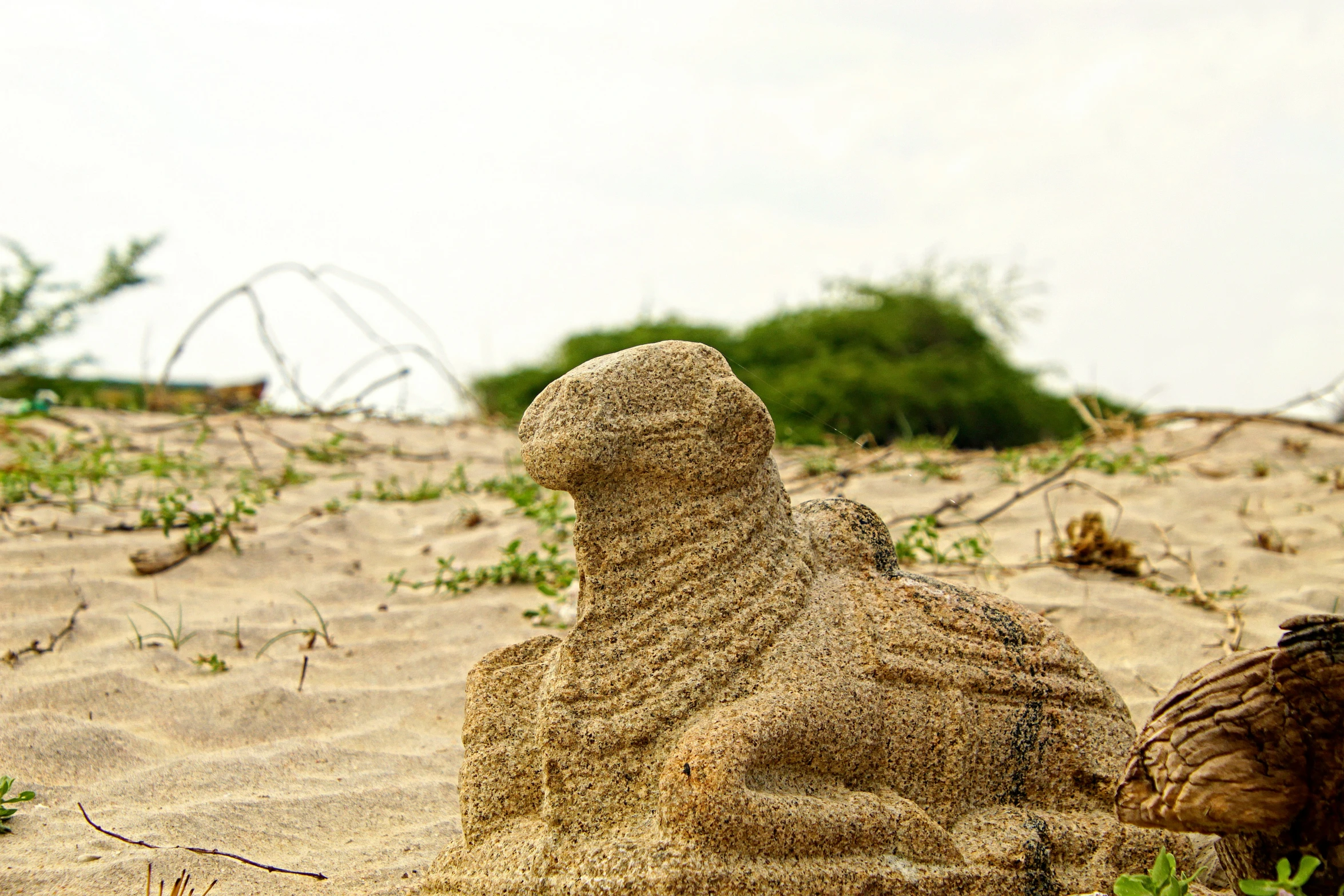 an unusual sand sculpture made to look like someone