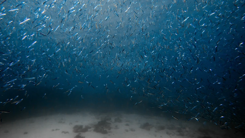 an underwater po with lots of blue bubbles in the water