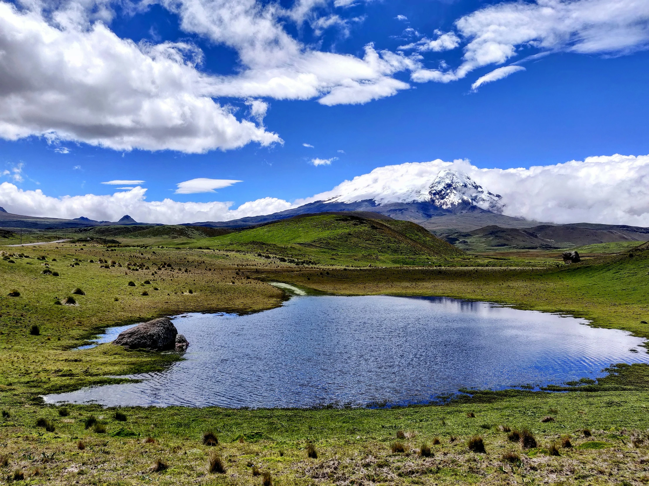 a green pasture with a mountain in the background