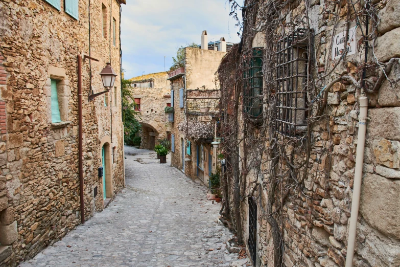 a stone alley leading to a building with a vine covered door