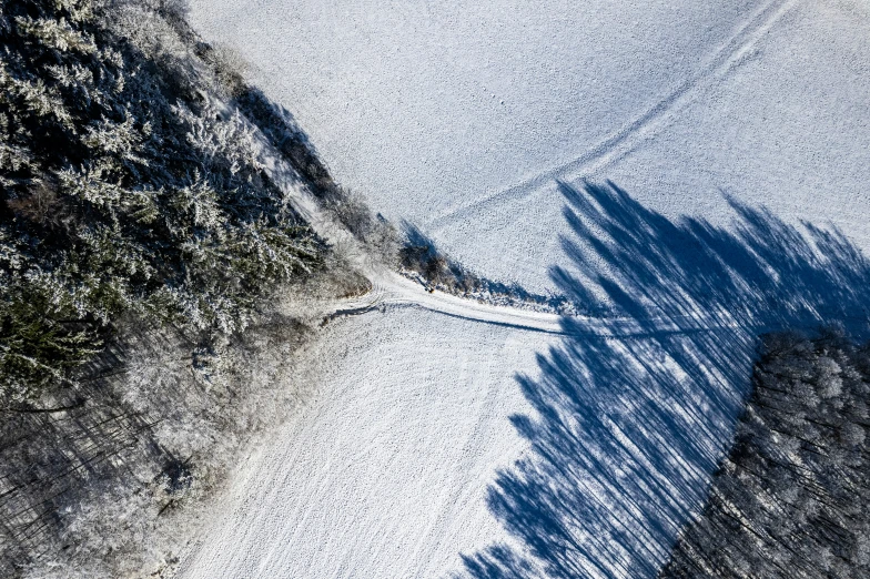 a snow covered area with a few trees casting shadows