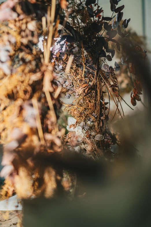 some leaves and other plants hang from a tree