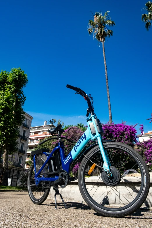 a bike is shown parked next to flowers and palm trees