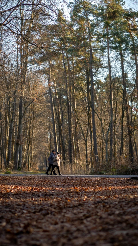 people are walking near the forest in the fall