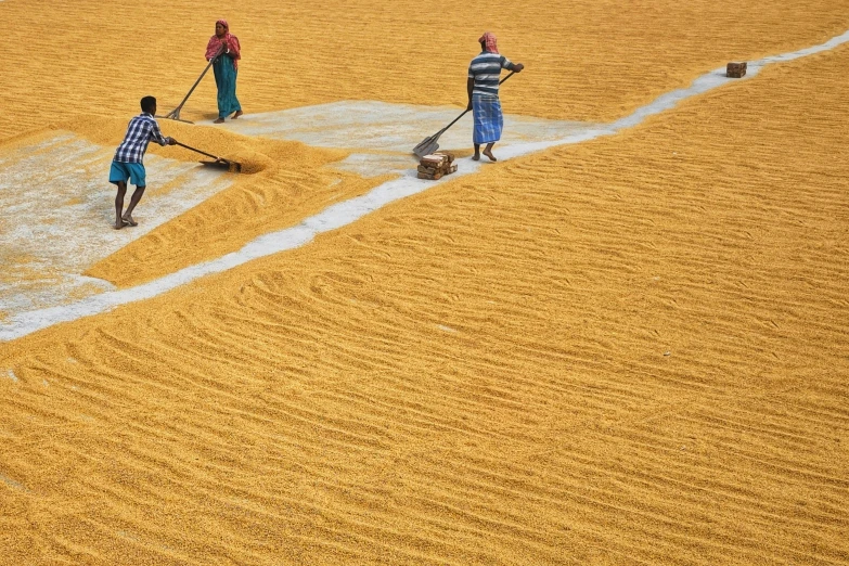 three people standing in the middle of a field