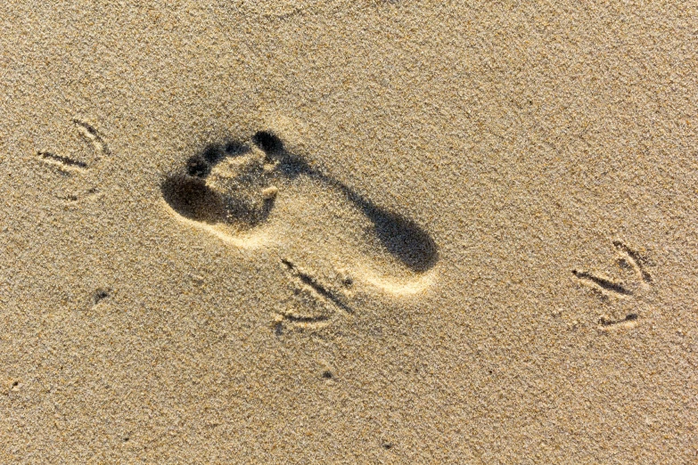 a person with their foot prints in the sand