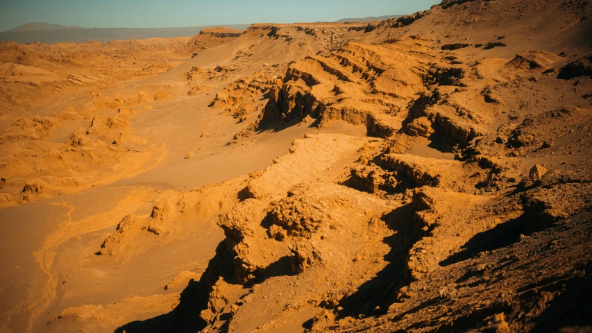 the desert like area is almost completely covered with sand
