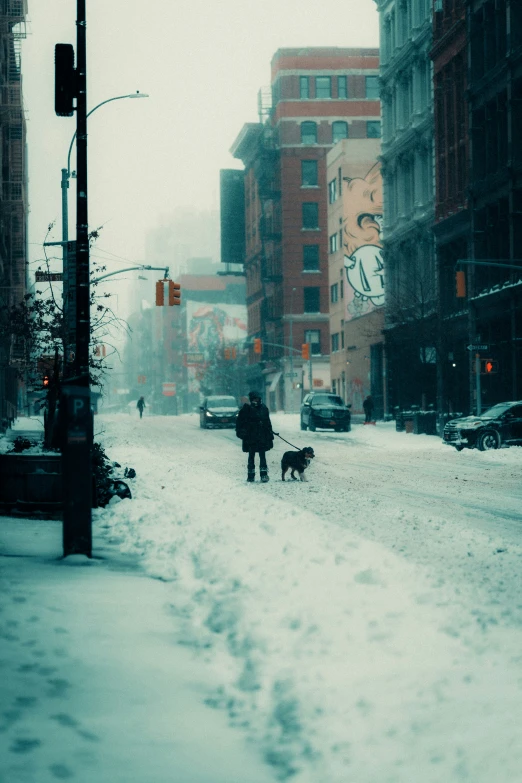 a man walking his dog through the snow