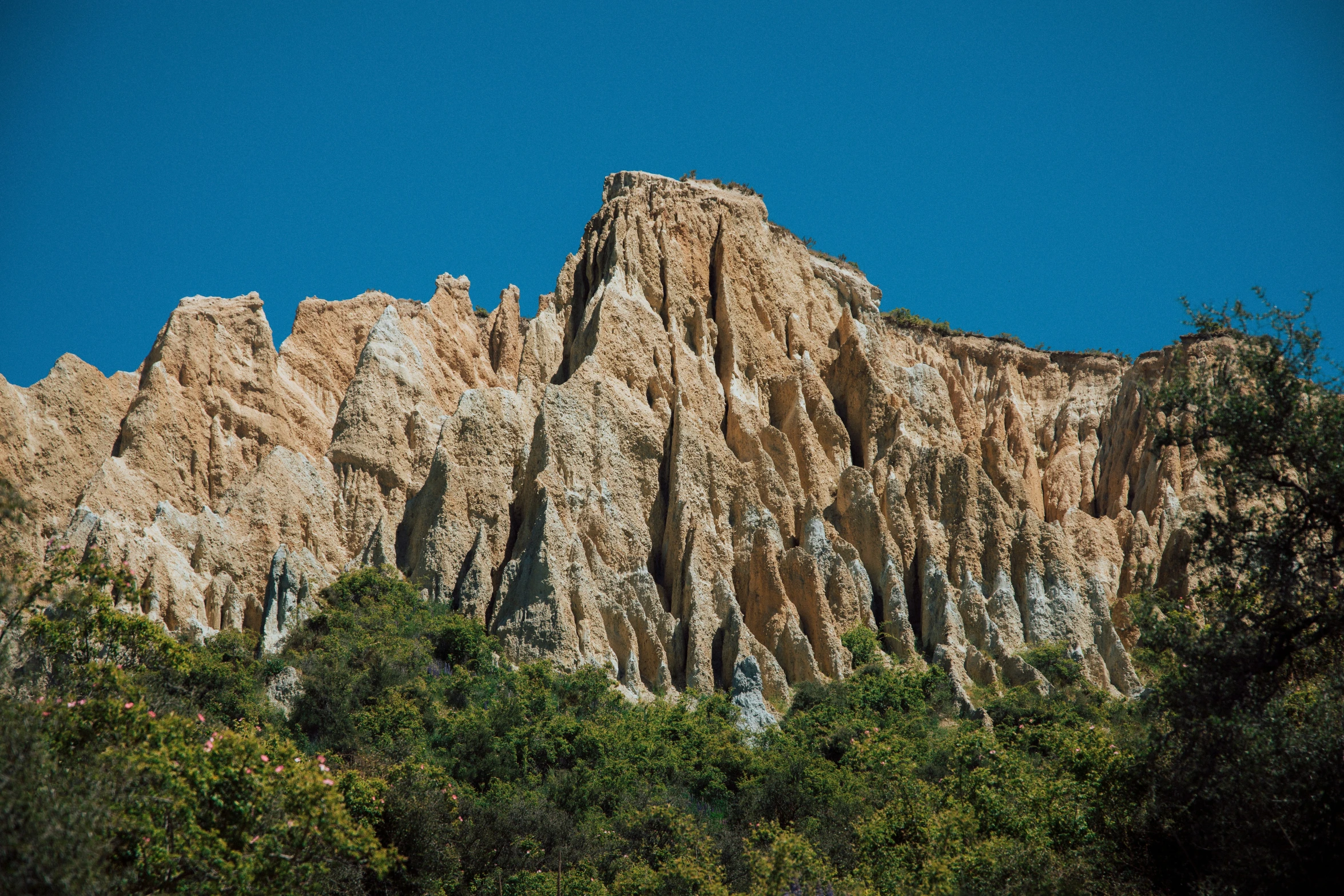 the rock face is visible through the trees