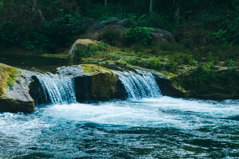 two water birds standing on rocks near a waterfall