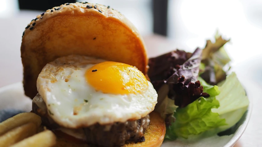 a burger, fried egg, and french fries on a plate