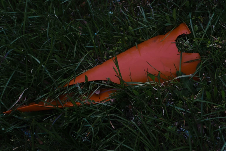 an arrow lying on the grass in the dark