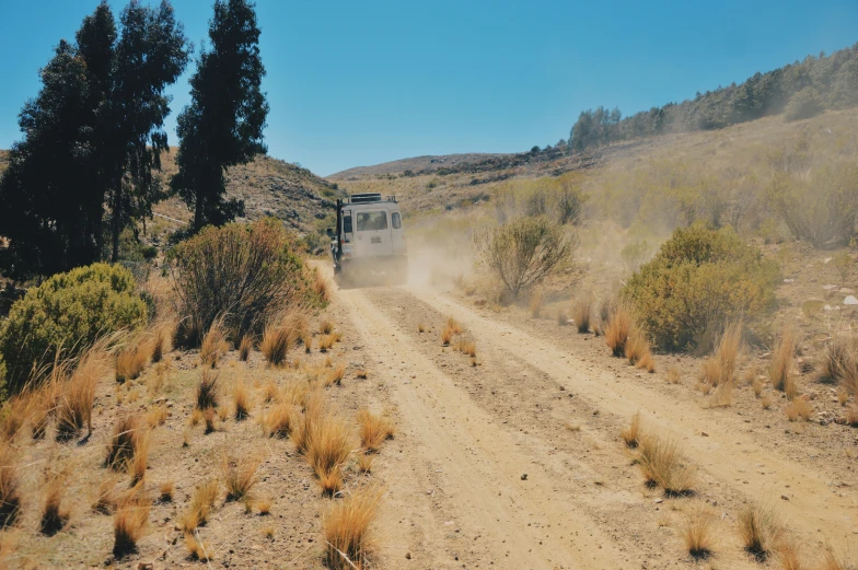 a truck driving on the dirt and bushes in front of trees