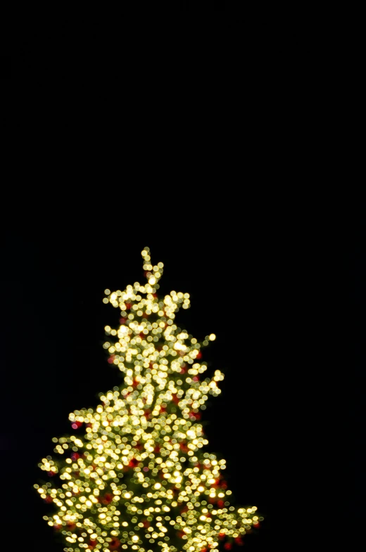 an illuminated white christmas tree is lit with holiday lights