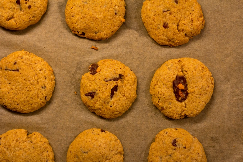 nine pumpkin spice cookies lined up on parchment paper