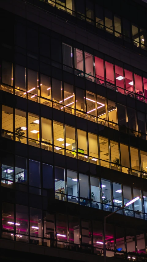 a building with a very big window covered by a neon strip