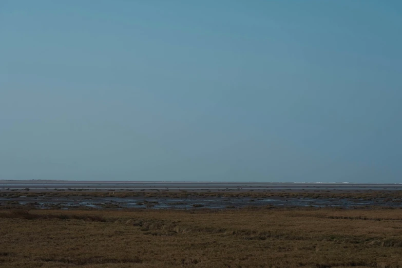 a lone ze walks across a beach by the ocean