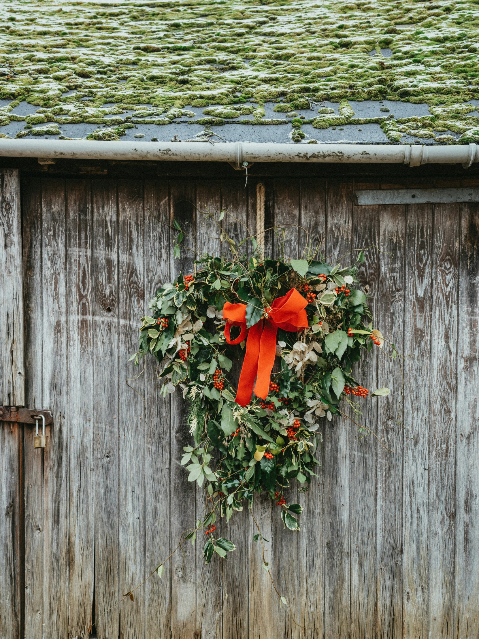 an orange ribbon on top of a wreath outside a house