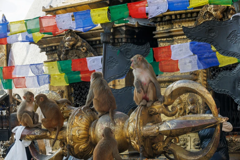 several monkeys that are sitting on the side of a cart